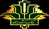 بانک کشاورزی در استان فارس حائز رتبه برتر شد